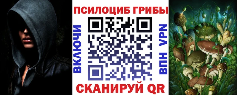наркота  Бийск  Галлюциногенные грибы прущие грибы 