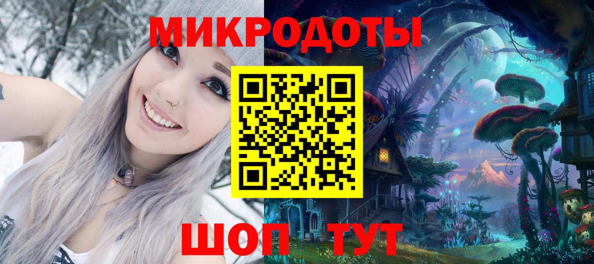 Псилоцибиновые грибы Psilocybine cubensis Бийск